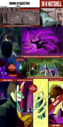 Size: 1280x2560 | Tagged: safe, artist:pedrohander, princess celestia, princess luna, twilight sparkle, oc, oc:anon, oc:jake anon, alicorn, human, pony, g4, cliche, colored, comic, digital art, fimfiction, human in equestria, irony, joke, nope, nutshell, nuzzling, parody, portal, text, transformation, twilight sparkle (alicorn)