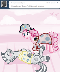 Size: 500x600 | Tagged: safe, artist:alipes, pinkie pie, oc, oc:fetchbeer, zebra, ask pinkie pierate, g4, ask, bottle, clothes, hat, pirate, tumblr