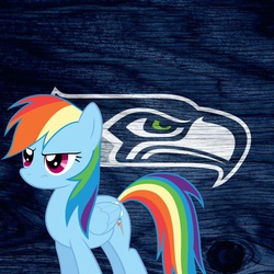 Size: 1024x1024 | Tagged: safe, rainbow dash, g4, american football, nfl, seattle seahawks