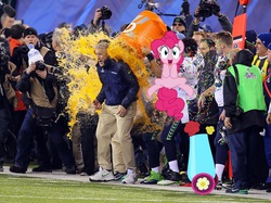 Size: 1022x763 | Tagged: safe, pinkie pie, human, g4, american football, gatorade, gatorade bath, irl, irl human, nfl, party cannon, pete carroll, photo, russell wilson, seattle seahawks, super bowl, super bowl champions, super bowl xlviii