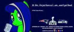 Size: 600x258 | Tagged: safe, american football, andrea libman, if that's okay with you, new england patriots, nfl, recolor, seattle seahawks, super bowl, super bowl xlix, text, twitter