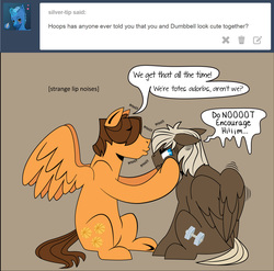 Size: 1400x1385 | Tagged: safe, artist:dbkit, dumbbell, hoops, pegasus, pony, g4, ask, duo, speech bubble, tumblr