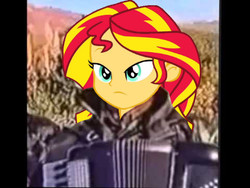 Size: 480x360 | Tagged: safe, sunset shimmer, equestria girls, g4, accordion, dat face soldier, female, musical instrument, remove kebab, serbia strong, solo