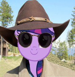 Size: 450x461 | Tagged: safe, twilight sparkle, g4, /pol/, 4chan, 8chan, ben garrison, cowboy hat, hat, obscure reference