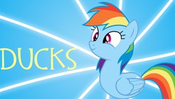 Size: 1280x720 | Tagged: safe, rainbow dash, duck pony, g4, bonus ducks, rainbow duck, species swap, team fortress 2, wallpaper, wat