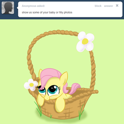 Size: 1280x1280 | Tagged: safe, artist:squiby-327, posey, ask posey, g1, ask, basket, female, filly, flower, solo, tumblr, younger