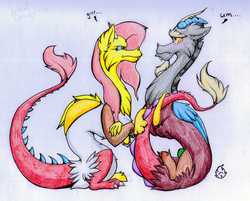 Size: 2602x2090 | Tagged: safe, artist:nekotigerfire, discord, fluttershy, draconequus, g4, angry, blushing, draconequified, duo, female, flutterequus, high res, male, ship:discoshy, shipping, species swap, straight, traditional art