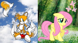 Size: 1358x756 | Tagged: safe, fluttershy, g4, copy and paste, crossover, cutie mark, male, miles "tails" prower, request, sonic the hedgehog (series)