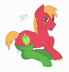 Size: 1793x1852 | Tagged: safe, artist:virgil green, big macintosh, earth pony, pony, g4, big backintosh, butt, clothes, cute, eyes, macabetes, male, mane, plot, short mane, signature, simple background, socks, solo, stallion