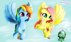 Size: 1600x938 | Tagged: safe, artist:sverre93, fluttershy, rainbow dash, tank, pony, tortoise, g4