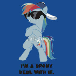 Size: 550x550 | Tagged: safe, artist:darkarrow, rainbow dash, pony, g4, backwards ballcap, baseball cap, bipedal, brony, brony pride, clothes, deal with it, female, glasses, hat, merchandise, nobody cares, redbubble, shirt, simple background, solo, sticker, sunglasses, text, watermark