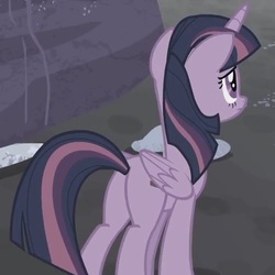Size: 515x515 | Tagged: safe, screencap, twilight sparkle, alicorn, pony, g4, the cutie map, butt, cropped, cute, equal cutie mark, equalized, female, folded wings, frown, mare, plot, sad, solo, twilight sparkle (alicorn), wings