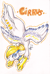 Size: 1356x2000 | Tagged: safe, artist:hellticket, oc, oc only, oc:cirrus sky, hippogriff, hybrid, flying, marker drawing, simple background, solo, traditional art, white background