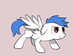 Size: 1000x775 | Tagged: safe, artist:terror bay, oc, oc only, oc:lilly, pegasus, pony, cute, female, mare, solo