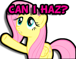 Size: 467x362 | Tagged: safe, edit, edited screencap, screencap, fluttershy, pegasus, pony, g4, sonic rainboom (episode), female, pointing, solo, text