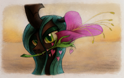 Size: 800x505 | Tagged: safe, artist:hewison, queen chrysalis, changeling, changeling queen, g4, bedroom eyes, female, flower, flower in mouth, heart, heart's desire, looking at you, mouth hold, solo