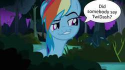 Size: 552x309 | Tagged: safe, edit, edited screencap, screencap, rainbow dash, twilight sparkle, pegasus, pony, daring don't, g4, season 4, 1000 years in photoshop, faic, female, lesbian, mare, meme, needs more jpeg, rainbow dash is best facemaker, ship:twidash, shipping, smiling, smirk, smug, smugdash, speech bubble