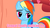 Size: 630x354 | Tagged: safe, rainbow dash, g4, female, image macro, meme, pink text, senpai, senpai noticed me, solo