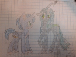 Size: 2560x1920 | Tagged: safe, artist:x-shiningstar-x, queen chrysalis, alicorn, pony, g4, alicornified, graph paper, male, photo, ponified, race swap, request, sonic the hedgehog, sonic the hedgehog (series), traditional art, wingless