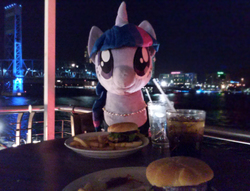 Size: 1248x951 | Tagged: safe, artist:buttercupbabyppg, twilight sparkle, pony, g4, /mlp/, 4chan, boat, bridge, burger, clothes, dinner, divine, dress, drink, food, french fries, glass of water, hearts and hooves day, irl, life size, necklace, night, photo, plushie, public, soda, toy, twilight burgkle, valentine's day, waifu, waifu dinner, water