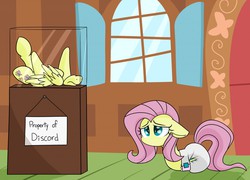 Size: 1280x922 | Tagged: safe, artist:skitter, fluttershy, pegasus, pony, worm pony, g4, acrotomophilia, amputee, diaper, female, floppy ears, flutterbean, fluttershy's cottage, frown, glass case, implied discord, legless, limbless, mare, modular, no mouth, non-baby in diaper, poofy diaper, prone, quadruple amputee, sad, sextuple amputee, solo, wingless