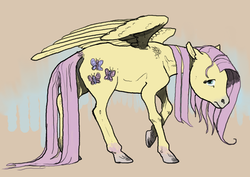 Size: 1280x905 | Tagged: safe, artist:spectralunicorn, fluttershy, g4, female, realistic, solo