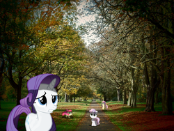 Size: 1024x768 | Tagged: safe, artist:felix-kot, artist:richhap, artist:theever, apple bloom, fluttershy, rarity, sweetie belle, human, g4, bench, irl, pathway, photo, ponies in real life, shadow, tree, vector