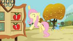 Size: 1600x900 | Tagged: safe, screencap, fluttershy, rainbow dash, fall weather friends, g4