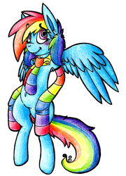 Size: 739x1024 | Tagged: safe, artist:dr-idiot, rainbow dash, pegasus, pony, g4, belly button, bipedal, blushing, clothes, female, mare, scarf, simple background, socks, solo, striped socks, traditional art, white background