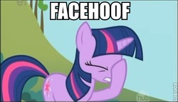 Size: 474x271 | Tagged: safe, screencap, twilight sparkle, g4, facehoof, female, image macro, meme, solo