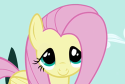 Size: 526x353 | Tagged: safe, screencap, fluttershy, pegasus, pony, g4, my little pony: friendship is magic, the ticket master, cropped, female, mare, solo