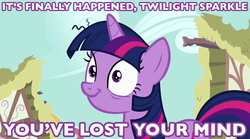 Size: 635x352 | Tagged: safe, edit, edited screencap, screencap, twilight sparkle, g4, caption, female, image macro, insanity, male, meme, solo, the simpsons, twilight snapple