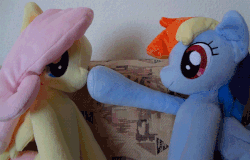 Size: 648x416 | Tagged: safe, artist:egondalatz, fluttershy, rainbow dash, pegasus, pony, g4, animated, boop, cute, eye contact, female, irl, looking at each other, mare, photo, plushie, smiling
