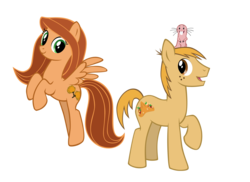 Size: 1500x1094 | Tagged: safe, artist:kethavel, earth pony, pegasus, pony, crossover, disney, duo, female, kim possible, kim possible (character), male, mare, ponified, ron stoppable, rufus (kim possible), simple background, stallion, transparent background