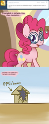 Size: 600x1520 | Tagged: safe, artist:solar-slash, pinkie pie, earth pony, pony, ask pinkie pie solutions, g4, ask, comic, female, glasses, house, mare, solo, tumblr