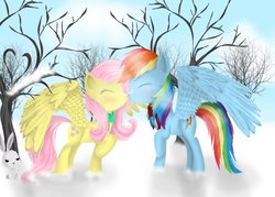 Size: 1057x755 | Tagged: safe, artist:chanceyb, angel bunny, fluttershy, rainbow dash, pegasus, pony, rabbit, g4, animal, backwards cutie mark, boop, cute, eyes closed, female, lesbian, noseboop, ship:flutterdash, shipping, snow, winter