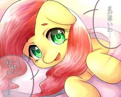 Size: 1000x800 | Tagged: dead source, safe, artist:dobado, fluttershy, g4, female, japanese, looking at you, solo