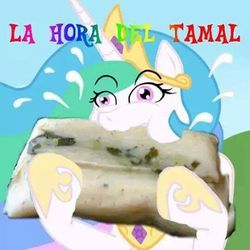 Size: 480x480 | Tagged: safe, princess celestia, g4, eating, food, mexican, mexico, nom, spanish, tamal, translated in the comments, wat