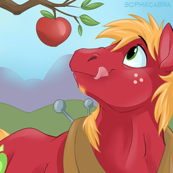 Size: 700x700 | Tagged: safe, artist:spainfischer, big macintosh, earth pony, pony, g4, beard, cute, licking lips, macabetes, male, solo, soul patch, stallion, tongue out