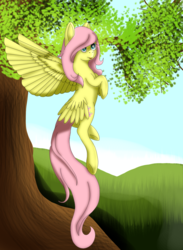 Size: 1196x1636 | Tagged: safe, artist:dictating-domino, fluttershy, g4, female, solo, tree