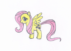 Size: 1024x732 | Tagged: safe, artist:fred7162, fluttershy, g4, female, solo, traditional art