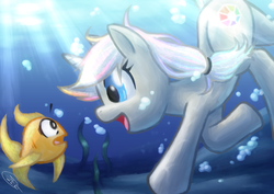 Size: 1280x905 | Tagged: safe, artist:ketirz, oc, oc only, oc:prism, fish, pony, startled, underwater