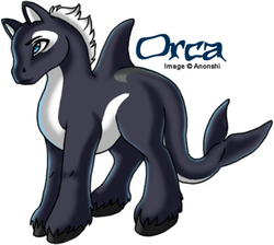 Size: 400x358 | Tagged: safe, artist:anonshi, oc, oc only, oc:orca, hybrid, orca, orca pony, original species, pony, simple background, solo, white background