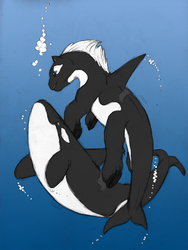 Size: 601x800 | Tagged: safe, artist:anonshi, oc, oc only, oc:orca, hybrid, orca, orca pony, original species, pony, whale, animal, artifact, duo, underwater