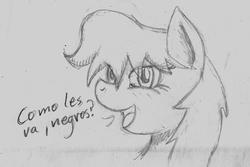 Size: 1283x856 | Tagged: artist needed, safe, oc, oc only, oc:maría teresa de los ponyos paguetti, monochrome, solo, traditional art, ya es hora