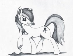 Size: 1018x785 | Tagged: safe, artist:corvostawr, roseluck, earth pony, pony, g4, background pony, dirty, female, flower, mare, monochrome, mud, rose, solo