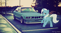 Size: 1102x603 | Tagged: safe, artist:the sexy assistant, trixie, pony, unicorn, g4, bmw, bmw 5-series, bmw e34, butt, car, female, irl, mare, photo, plot, ponies in real life, solo