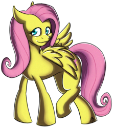 Size: 564x631 | Tagged: safe, artist:xnir0x, fluttershy, g4, female, solo