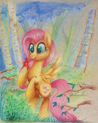 Size: 502x634 | Tagged: safe, artist:mapony240, fluttershy, bird, g4, female, solo, traditional art