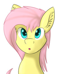 Size: 1280x1512 | Tagged: safe, artist:iados, fluttershy, g4, cute, female, solo